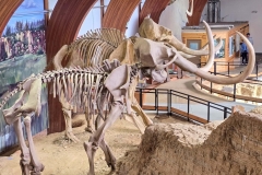 Mammoth-Pit-two-mammoths-top-side