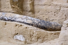 Mammoth-pit-dark-tusk