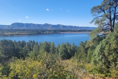 Mancos-State-Park-Black-Bear-Cover