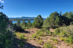 Mancos-State-Park-Black-Bear-First-Lake-Peak
