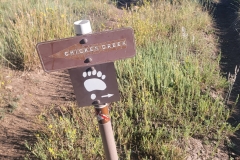 Mancos-State-Park-Black-Bear-Opening-Sign