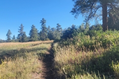 Mancos-State-Park-Black-Bear-Trail-Early