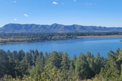 Mancos-State-Park-Black-Bear-best-lake