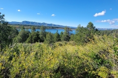 Mancos-State-Park-Black-Bear-lake-view
