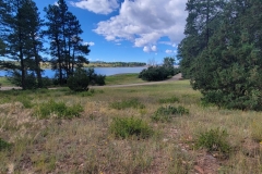 Mancos-State-Park-Black-Bear-lower-lake