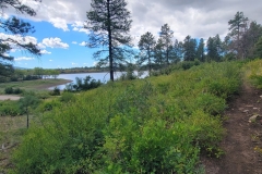 Mancos-State-Park-Black-Bear-lower-trails-and-lake
