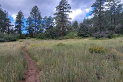 Mancos-State-Park-Black-Bear-lower-trails