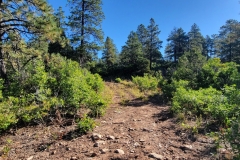Mancos-State-Park-Early-up-and-round