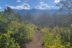 Mancos-State-Park-Top-Trail-heading-down