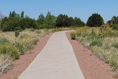 Martin-Lake-Lathrop-State-Park-Early-trail