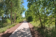Martin-Lake-Loop-Lathrop-State-Park-sidewalk-through-Trees