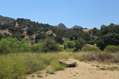 Malibu-Creek-State-Park-MASH-Green