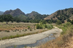 Malibu-Creek-State-Park-MASH-dry-river