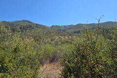 Malibu-Creek-State-Park-MASH-green-above-set