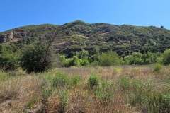 Malibu-Creek-State-Park-MASH-green-hill-side
