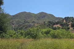Malibu-Creek-State-Park-MASH-green-hills