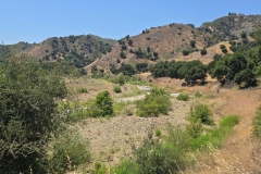 Malibu-Creek-State-Park-MASH-river-bed
