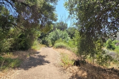 Malibu-Creek-State-Park-MASH-short-trail