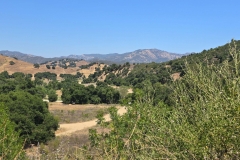 Malibu-Creek-State-Park-MASH-wide-open-hills