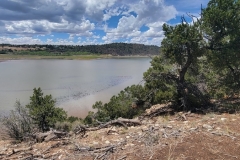 Mcphee-Overlook-Muddy-lake-and-trees