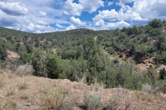 Mcphee-Overlook-surrounding-terrain
