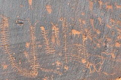 Moab-Petroglyph-centepede-close