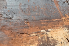 Moab-Petroglyph-centepede