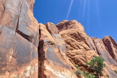 Moab-Petroglyph-main-wall-wides