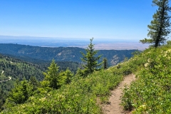 Mores-MOuntain-first-turn