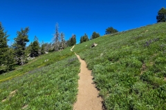 Mores-Mountain-Backside-straight