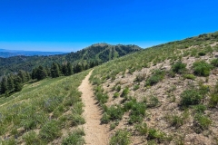 Mores-Mountain-Cliff-side-trail