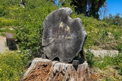 Mores-Mountain-Shafer-Butte-sign