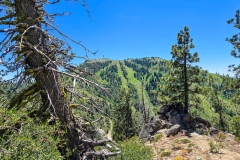 Mores-Mountain-ski-hill-through-trees