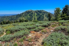 Mores-Mountain-top-to-ski-hill