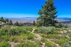 Mores-Mountain-top