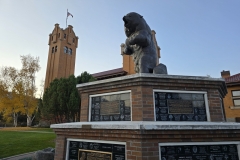 Morning-in-Missoula-Bear-and-Crocket
