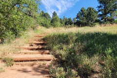 Mount-Sanitas-Early-Stairs