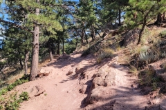 Mount-Sanitas-dirt-trail-incline