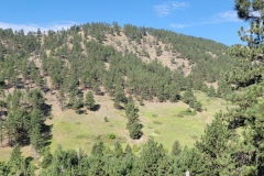 Mount-Sanitas-opposite-hill-early
