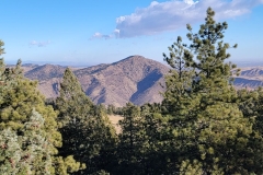 Mount-Falcon-lookout-view-peaks