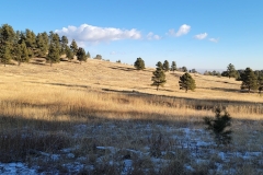 Mt-Falcon-field-and-snow