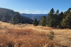 Mt-Falcon-high-gulch