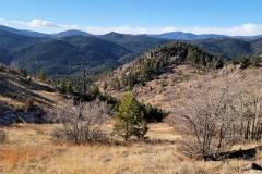 Mt-Falcon-more-views