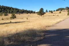 Mt-Falcon-trail-and-meadow