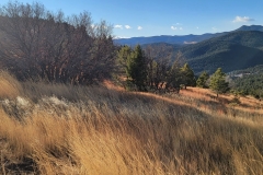 Mt-Falcon-views-and-trail