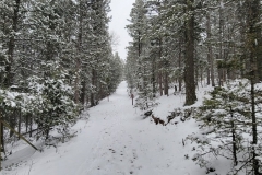 Mueller-Overlooks-Long-Snowy-Trail