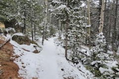 Mueller-Overlooks-Starting-snowy-trail