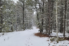 Mueller-Overlooks-Windy-trail-through-snowy-trees
