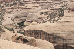 Natural Bridges Horse collar Canyon Close