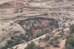Natural Bridges Kachina Bridge side
